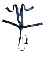 5 point safety belt