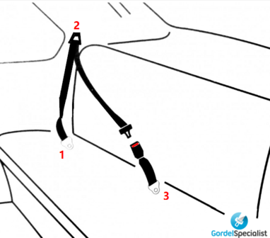 Static 3-Point Seatbelt / Safetybelt / Car Seatbelt