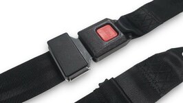 2 punts veiligheidsgordel / Heupgordel met klassieke sluiting