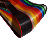 The importance of child safety belts: Essential information for parents.